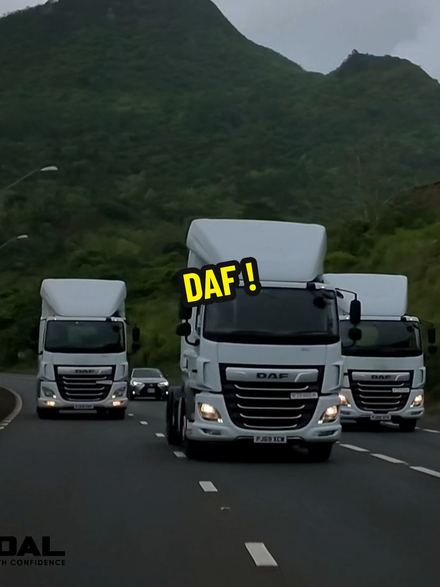 DAF Trucks presentation - TikTok video